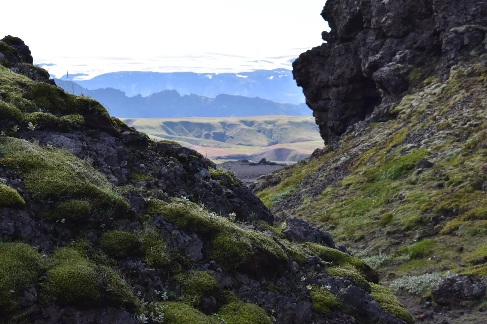 Wanderweg zwischen Feldern